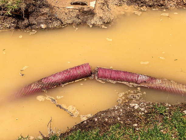 Best Crawl Space Water Damage Solutions in Arrowhead Beach, NC